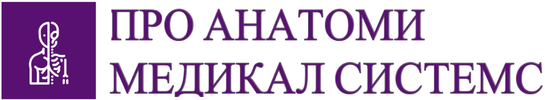 Корпоративный сайт Корпоративный сайт