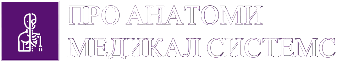 Корпоративный сайт Корпоративный сайт
