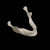 Нижняя челюсть (Mandibula)