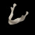 Нижняя челюсть (Mandibula)