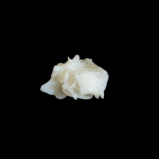 Решетчатая кость (os ethmoidale)